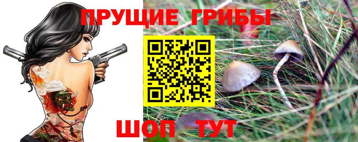 Псилоцибиновые грибы Psilocybe  Псилоцибиновые грибы мицелий  Вход с VPN  Воскресенск 